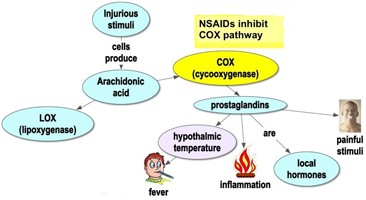 Mechanism of Suspension